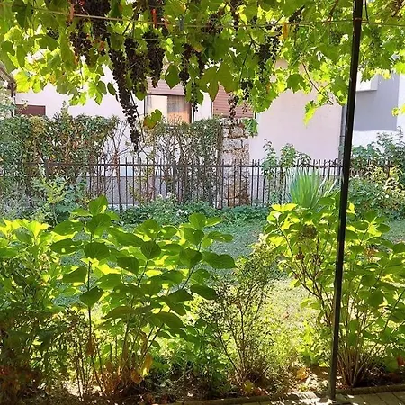 Elena Luka Apartment Ohrid Exterior photo