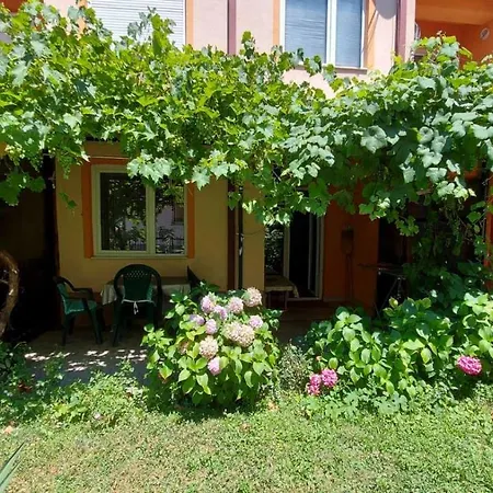 Elena Luka Apartment Ohrid Exterior photo
