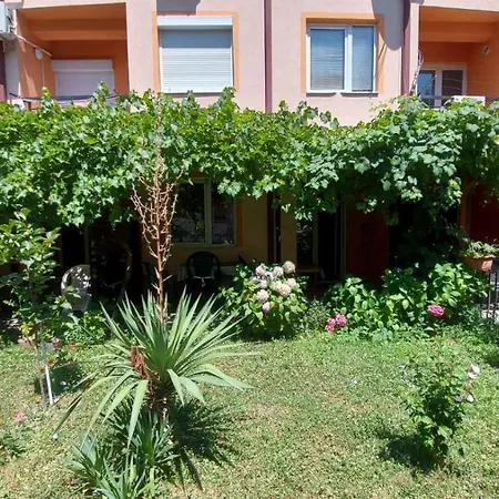 Elena Luka Apartment Ohrid Exterior photo