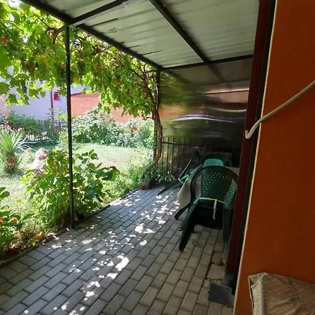 Elena Luka Apartment Ohrid Exterior photo