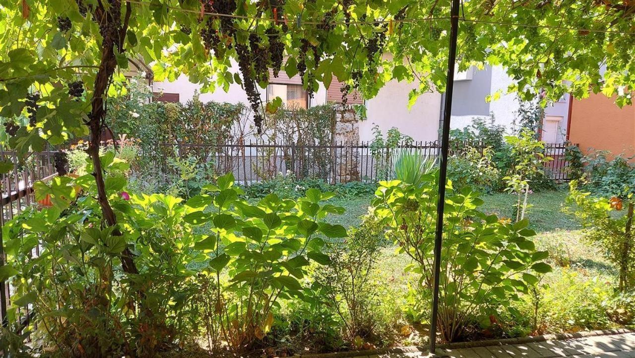 Apartment Elena Luka Ohrid