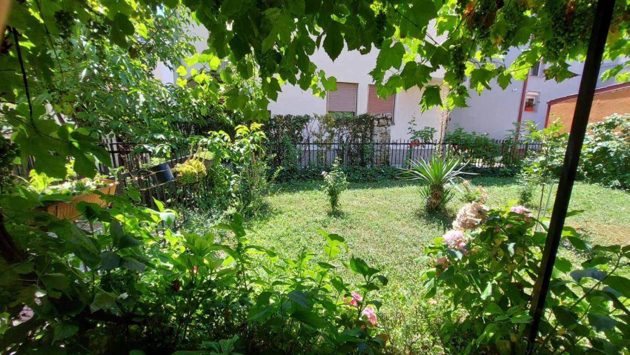 Apartment Elena Luka