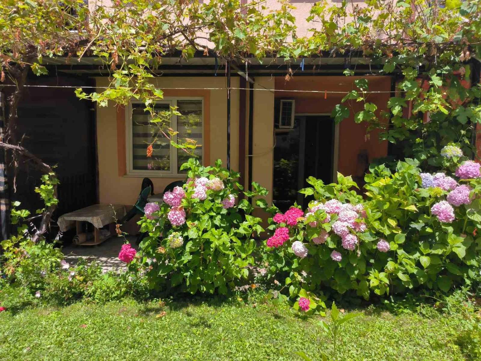 Apartment Elena Luka Ohrid