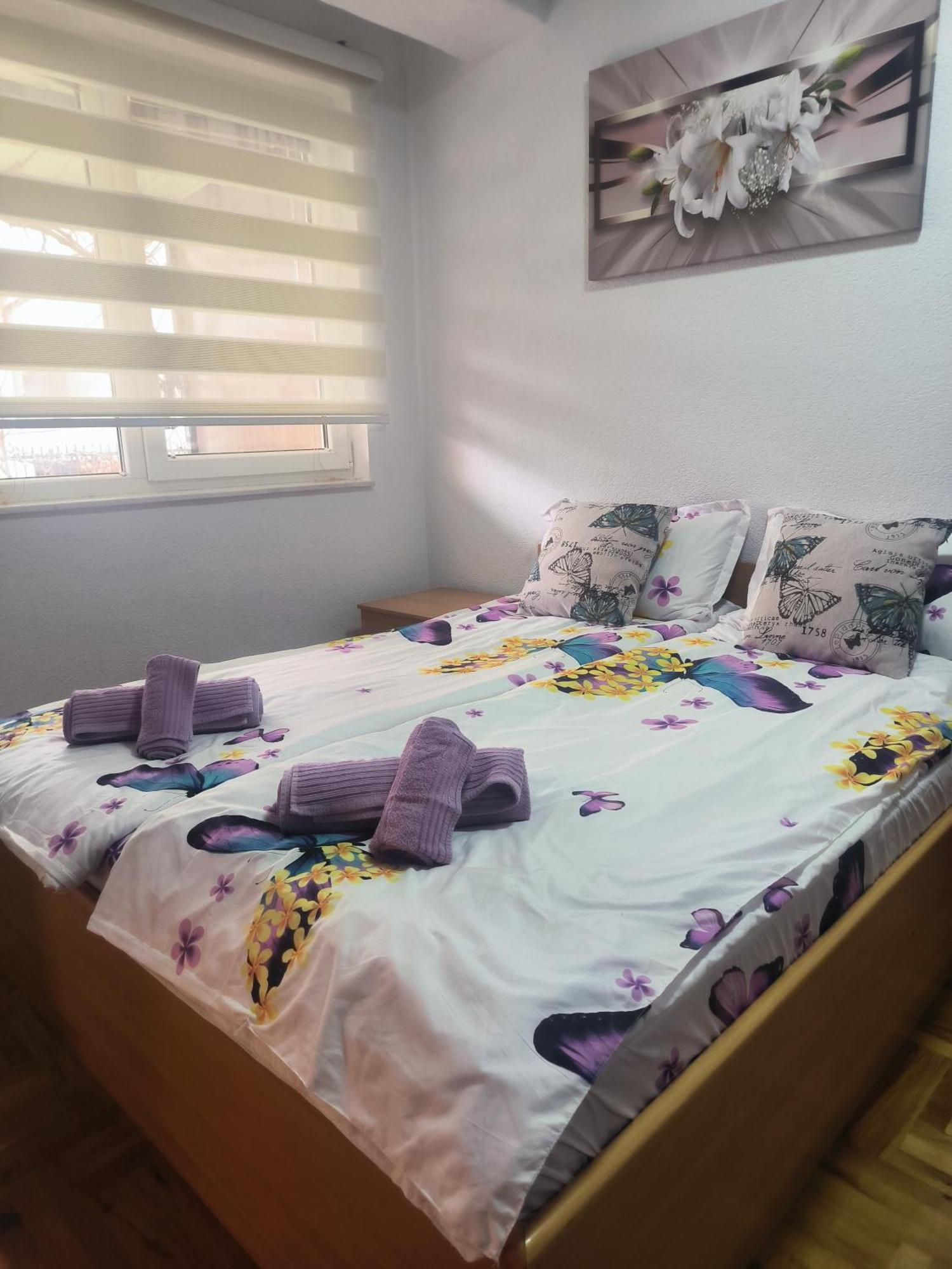 Apartment Elena Luka *